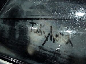 Text on wet window