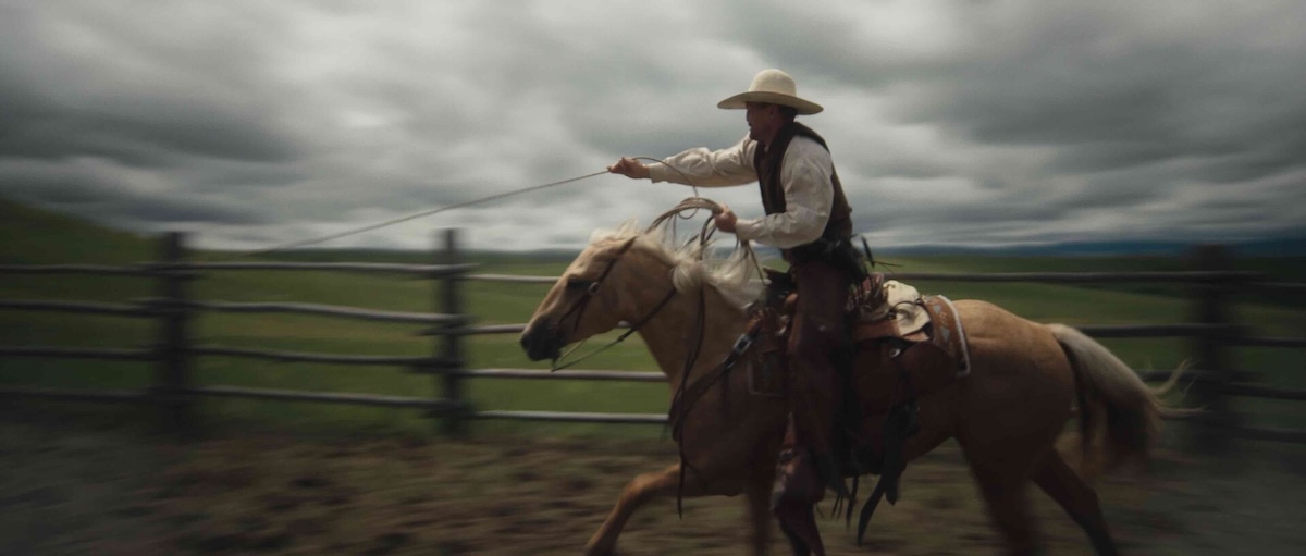 Image of cowboy on horse.