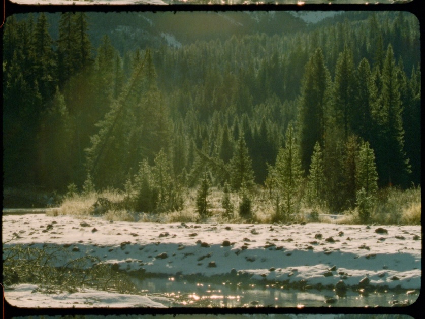 Image of forest and snow and water.