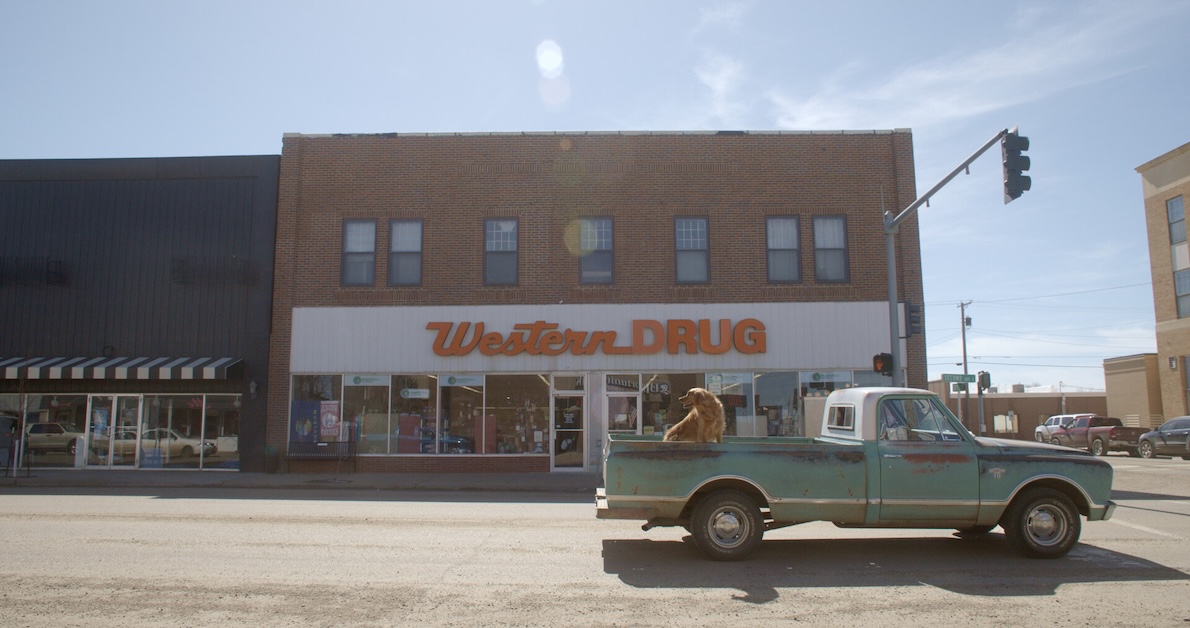Image of truck on road with dog in back in front of building that says Western Drug.