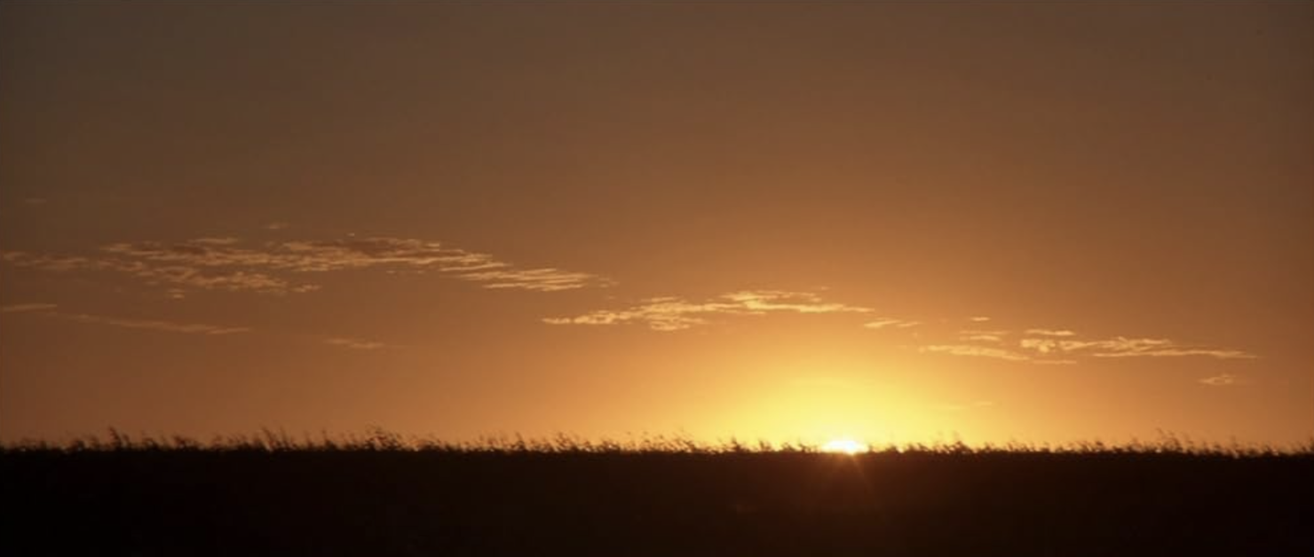 Image of sunrise or sunset.