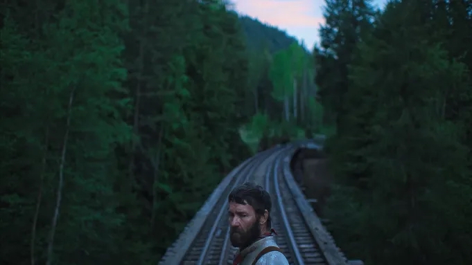 Image of person standing on railroad tracks in forest.